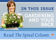 Read The Spinal Column
